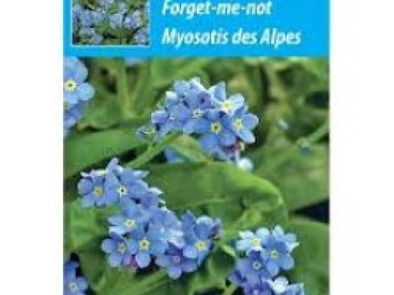 Zakje vergeet me nietjes