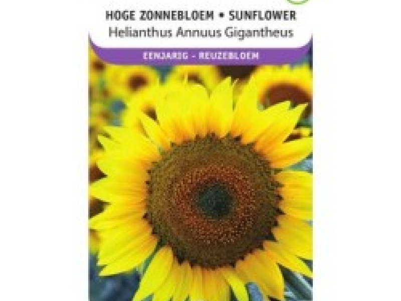Zakje zonnebloem zaadjes