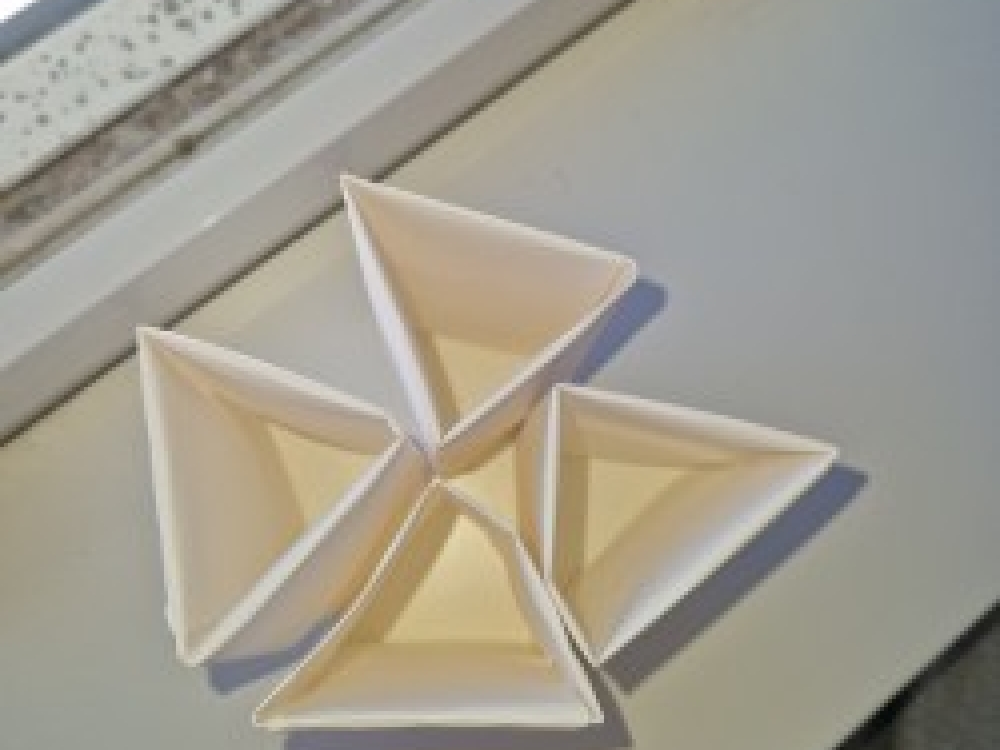 Organizer