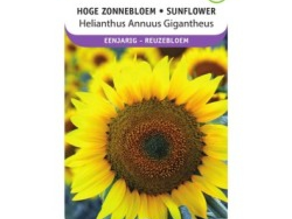 Zakje zonnebloem zaadjes